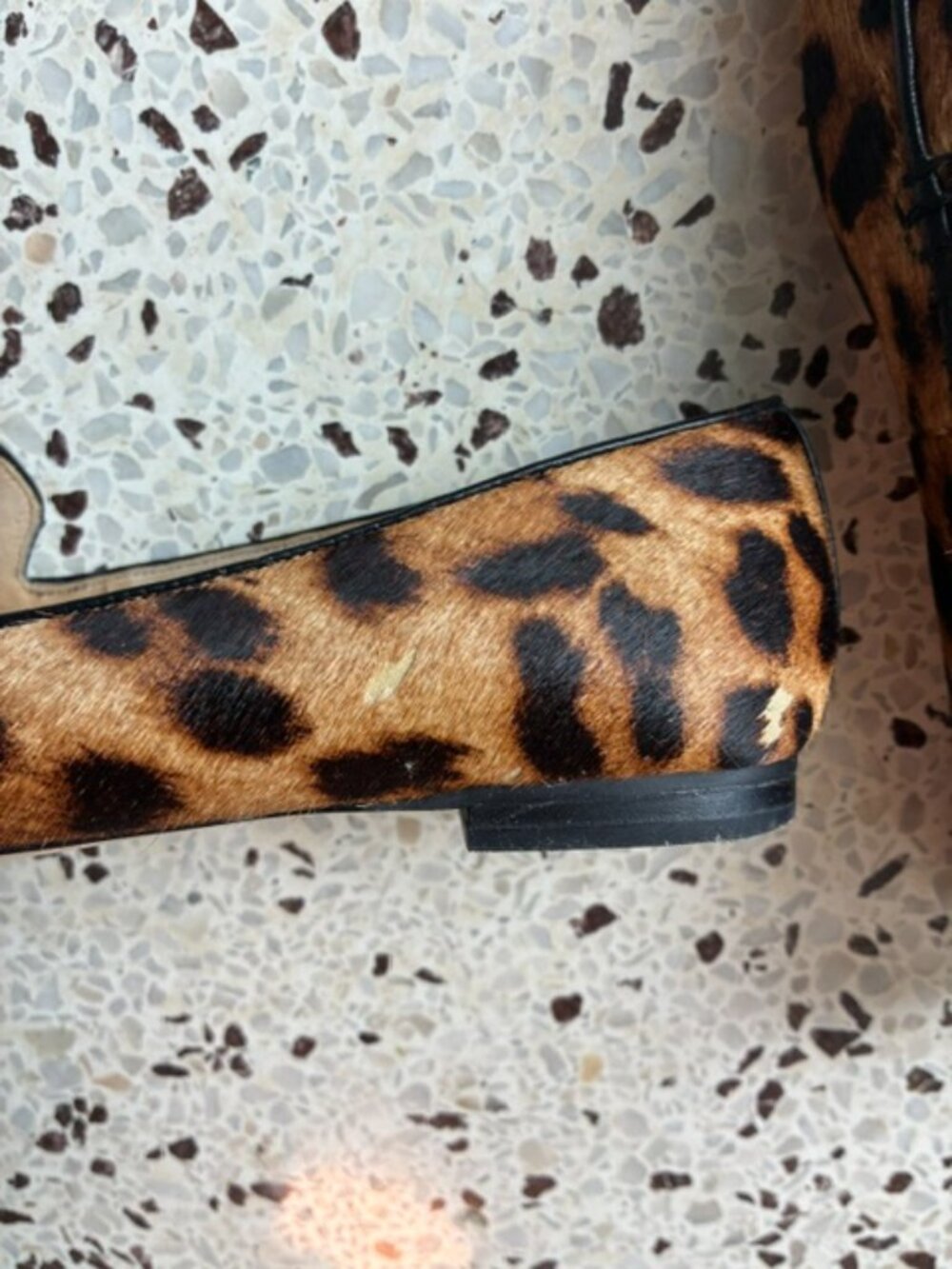 TALBOTS Leopard Print Calf Hair Loafer - Picture 5 of 5